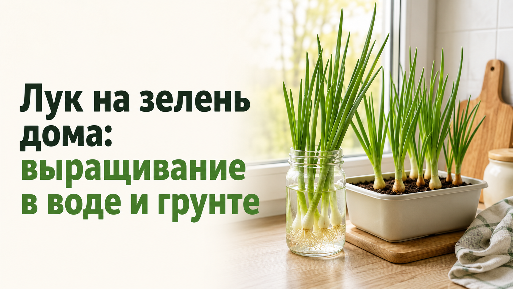 Лук на зелень дома: выращивание в воде и грунте