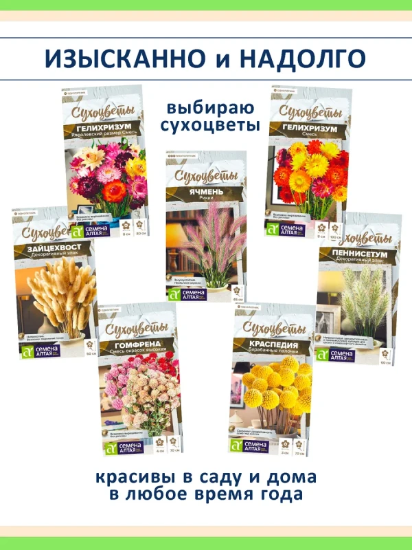 Набор семян сухоцветов — 7 видов для зимних букетов и сада