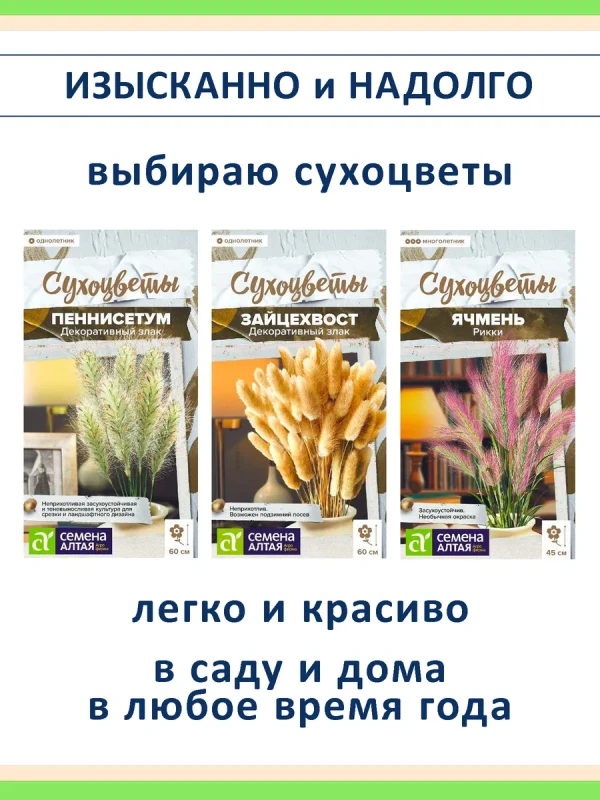 Набор семян сухоцветов, декоративных злаков — 3 вида