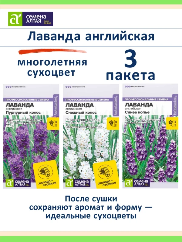 Семена лаванды 3 шт Снежный и Пурпурный колос, Синее копье