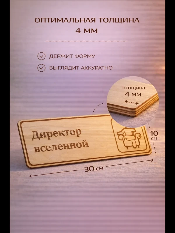 Табличка "Директор вселенной", на дверь и стену