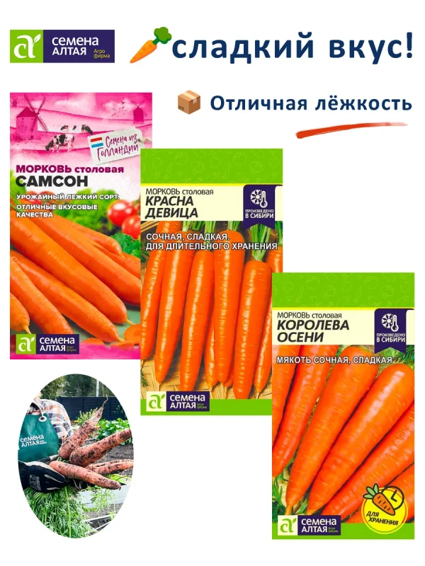 Семена моркови Самсон, Королева Осени, Красна Девица