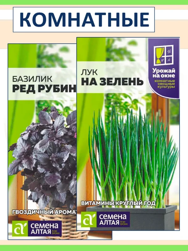 Набор семена Базилик и Лук на зелень, для подоконника #1