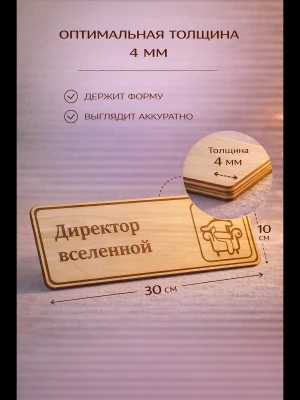 Табличка "Директор вселенной", на дверь и стену — купить в AltAurum