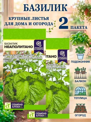 Базилик Неаполитано семена крупнолистный 2 пакета — купить в AltAurum