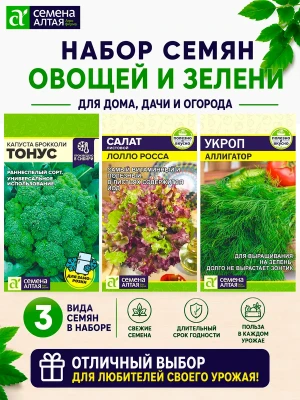 Набор семян: брокколи, салат листовой, укроп — купить в AltAurum