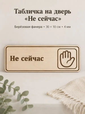 Табличка "Не сейчас" 30х10 см — купить в AltAurum