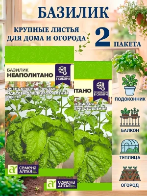 Базилик Неаполитано семена крупнолистный, зелень для песто — купить в AltAurum
