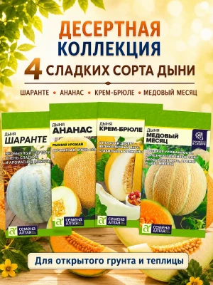 Набор семян дыни, 4 сладких сорта для теплицы и грунта — купить в AltAurum