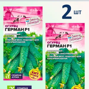 Семена огурцов Герман F1 — набор 2 пакета — купить в AltAurum