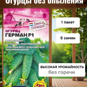 Семена огурца Герман F1 для теплицы и грунта — купить в AltAurum