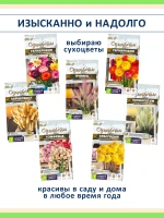 Набор семян сухоцветов — 7 видов для зимних букетов и сада — фото 1