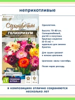 Набор семян сухоцветов — 7 видов для зимних букетов и сада — фото 3