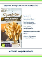 Набор семян сухоцветов — 7 видов для зимних букетов и сада — фото 5