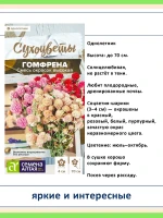 Набор семян сухоцветов — 7 видов для зимних букетов и сада — фото 7