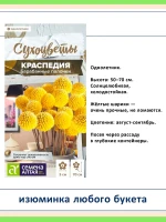 Набор семян сухоцветов — 7 видов для зимних букетов и сада — фото 8