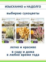 Набор семян сухоцветов, декоративных злаков — 3 вида — фото 1