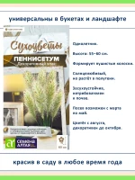 Набор семян сухоцветов, декоративных злаков — 3 вида — фото 2