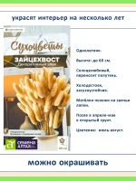 Набор семян сухоцветов, декоративных злаков — 3 вида — фото 3