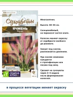 Набор семян сухоцветов, декоративных злаков — 3 вида — фото 4