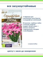 Семена сухоцветов статица 5 сортов — для дачи и флористики — фото 2