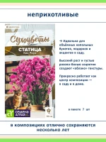 Семена сухоцветов статица 5 сортов — для дачи и флористики — фото 3