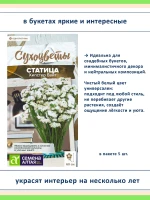 Семена сухоцветов статица 5 сортов — для дачи и флористики — фото 5