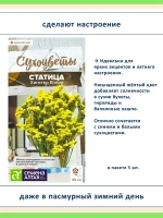 Семена сухоцветов статица 5 сортов — для дачи и флористики — фото 6
