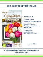 Набор семян сухоцветов гелихризум ксерантемум - 4 шт — фото 3
