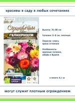 Набор семян сухоцветов гелихризум ксерантемум - 4 шт — фото 4