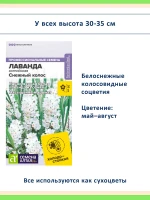 Семена лаванды 3 шт Снежный и Пурпурный колос, Синее копье — фото 4
