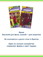 Семена амаранта Осенний Фонтан и Пигми Торч — 2 пакета — фото 5