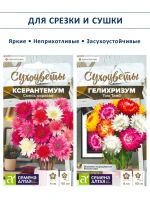 Набор семян сухоцветов гелихризум ксерантемум - 2 шт — фото 1