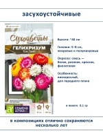 Набор семян сухоцветов гелихризум ксерантемум - 2 шт — фото 3