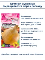 Семена лука Эксибишен сладкого для салата и грунта 2 шт — фото 2