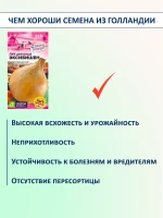 Семена лука Эксибишен сладкого для салата и грунта 2 шт — фото 5