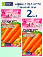 Семена моркови Канада F1 — набор 2 пакета — фото 1