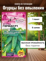 Семена огурца Герман F1 для теплицы и грунта — фото 1