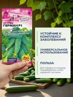 Семена огурца Герман F1 для теплицы и грунта — фото 3
