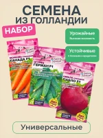 Семена овощей для огорода из Голландии, набор 3 шт — фото 1