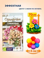 Семена цветов сухоцветов Гомфрена Смесь окрасок -1 шт — фото 2