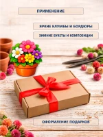 Семена цветов сухоцветов Гомфрена Смесь окрасок -1 шт — фото 5