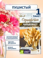Семена цветов сухоцветов Зайцехвост Декоративный злак -1 шт — фото 1