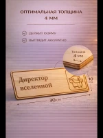 Табличка "Директор вселенной", на дверь и стену — фото 1