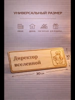 Табличка "Директор вселенной", на дверь и стену — фото 2