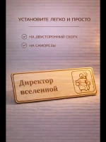 Табличка "Директор вселенной", на дверь и стену — фото 3