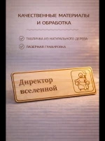 Табличка "Директор вселенной", на дверь и стену — фото 4