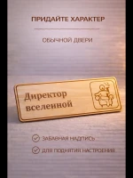 Табличка "Директор вселенной", на дверь и стену — фото 5