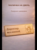 Табличка "Директор вселенной", на дверь и стену — фото 6