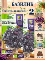 Базилик Ред Рубин семена фиолетовый 2 пакета — фото 1